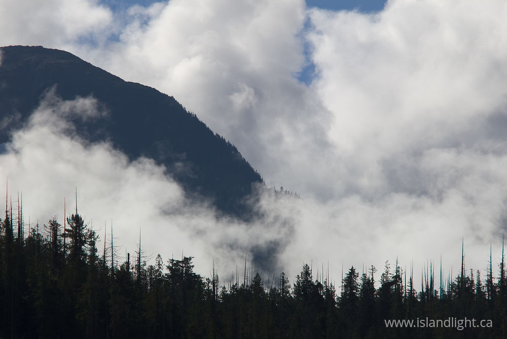 Landscape photo from  Mainland, BC Canada.