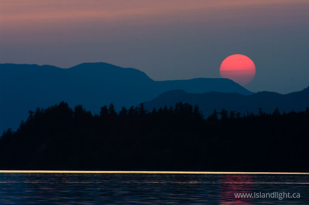 Landscape  photo from  Marina Island, BC Canada.