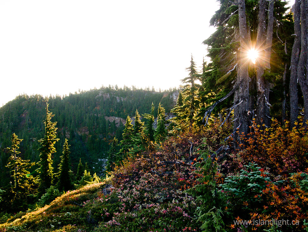 Landscape  photo from  Mount Washington, British Columbia Canada.