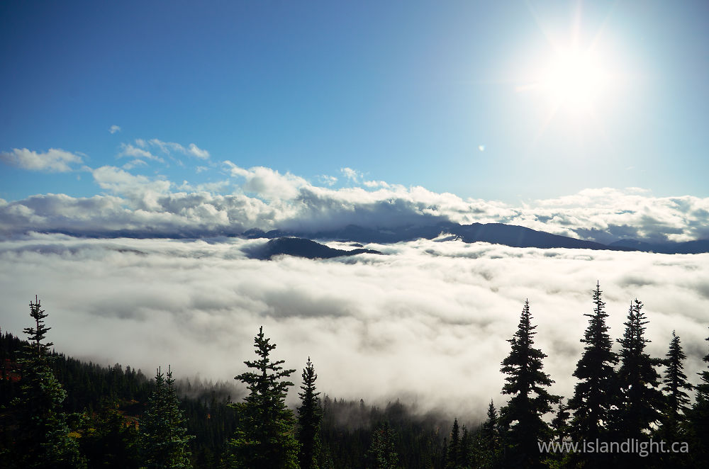 Landscape  photo from  Mount Washington, British Columbia Canada.
