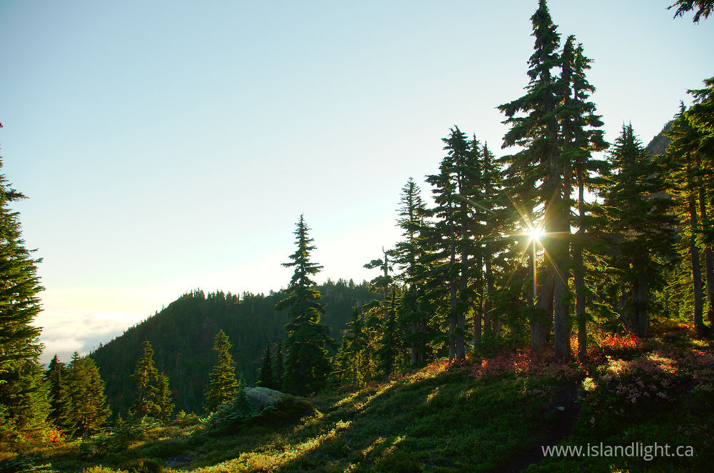 Landscape photo from  Mount Washington, British Columbia Canada.