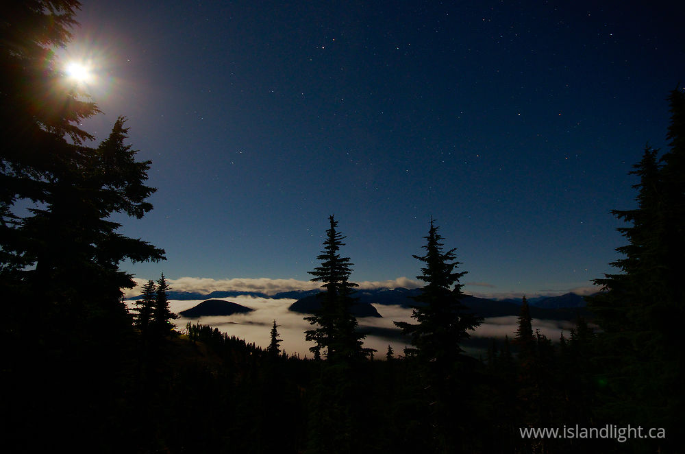 Landscape  photo from  Mount Washington, British Columbia Canada.