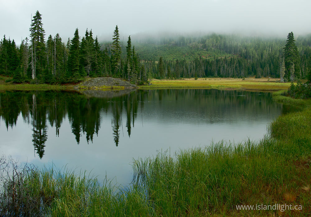 Landscape  photo from  Paradise Meadows, British Columbia Canada.