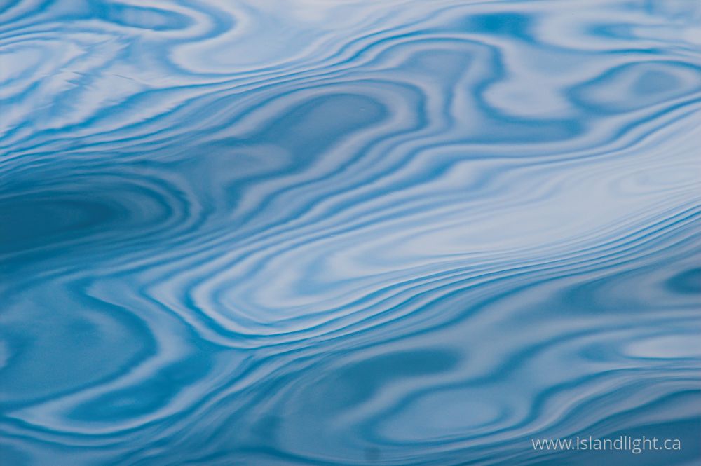 Reflection  photo from  Cortes Island, BC Canada.