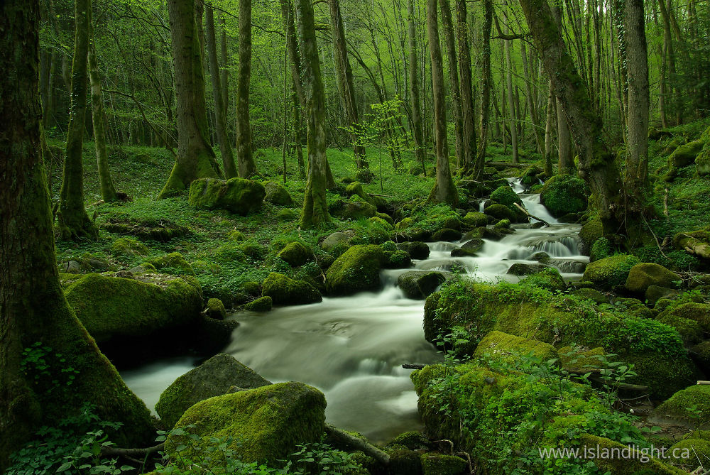 Landscape  photo from  Route de Plombiers, Haute-Saone France.