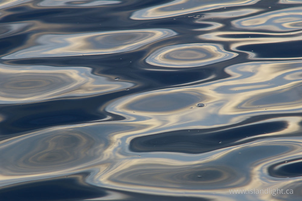 Reflection photo from  Salish Sea, BC Canada.