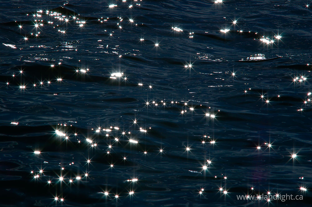 Reflection  photo from  Salish Sea, BC Canada.