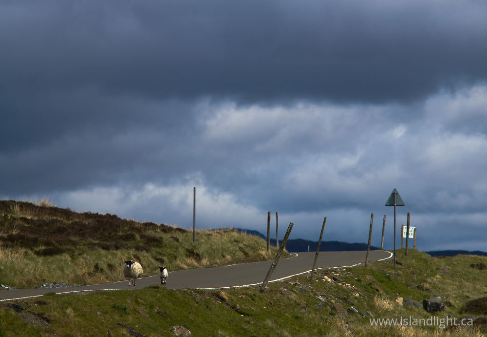 Landscape photo from  Scotland,  Scotland.