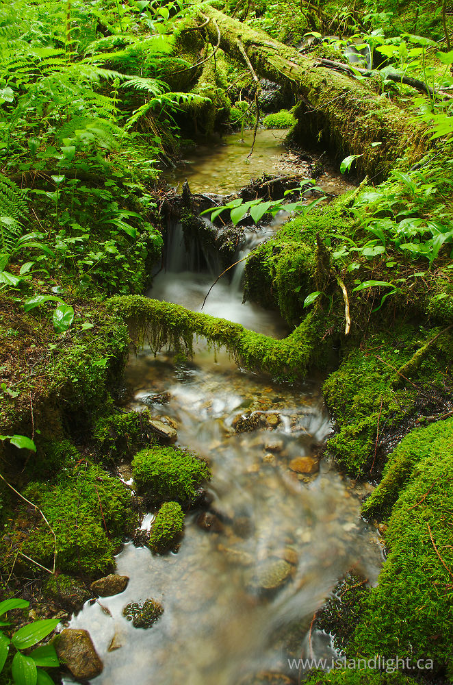 Landscape  photo from  Slocan Valley, British Columbia Canada.