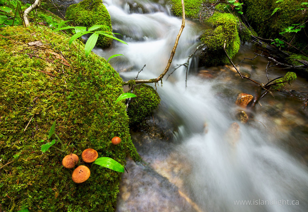 Landscape  photo from  Slocan Valley, British Columbia Canada.