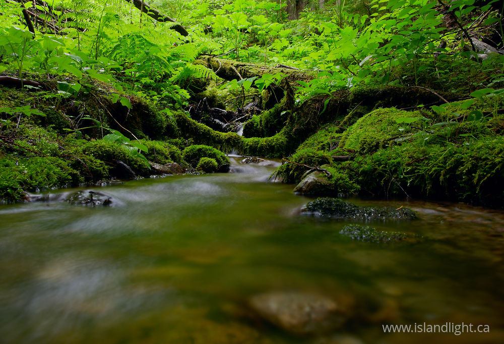 Landscape  photo from  Slocan Valley, British Columbia Canada.