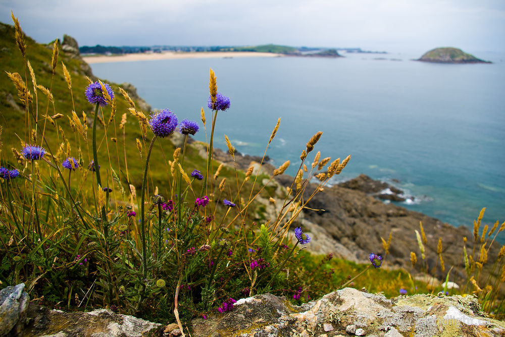 Landscape  photo from  St. Malo, Bretagne France.