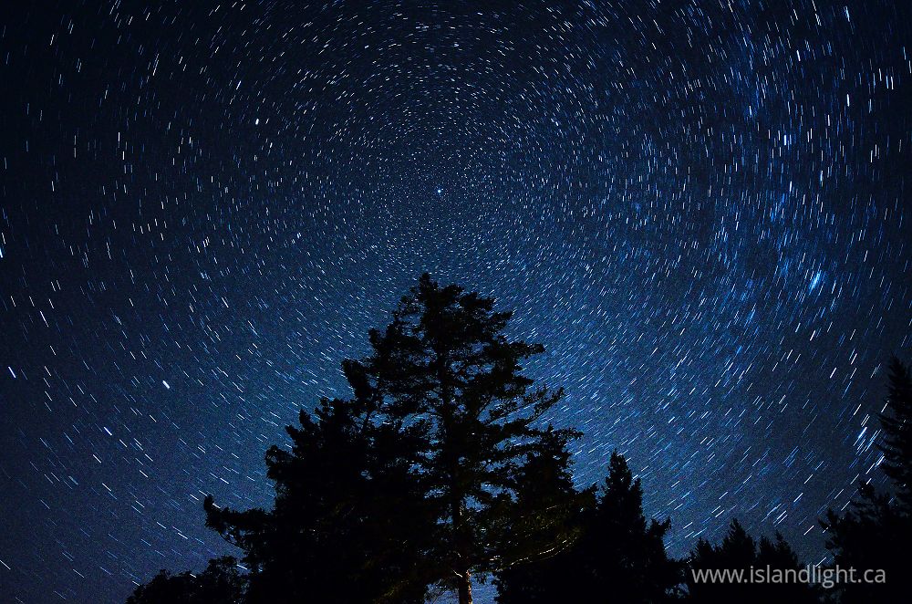 Other  photo from  Cortes Island, British Columbia Canada.
