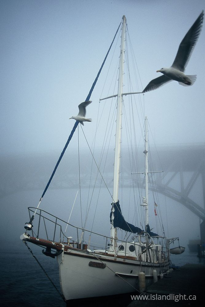 Boating photo from Granville Island Vancouver, BC Canada.
