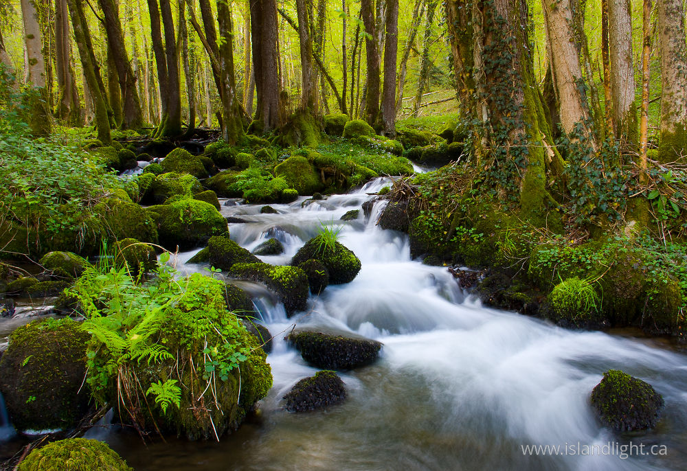 Landscape  photo from  Vosges,  France.