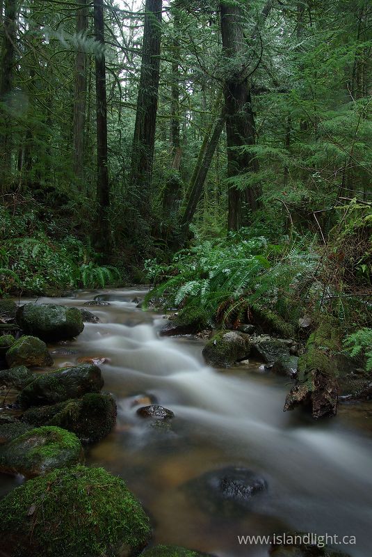   Creek photo