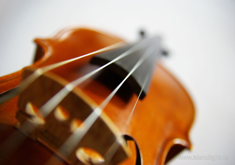   Fiddle photo