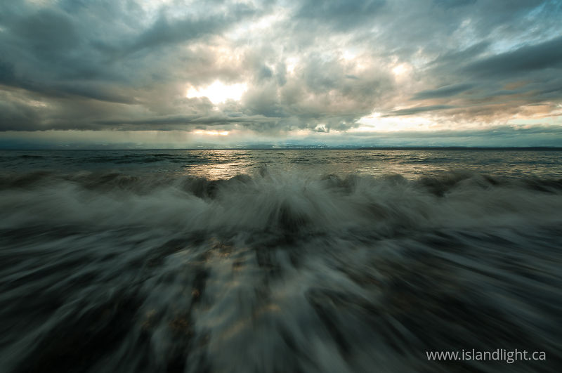 Stormy -   photo