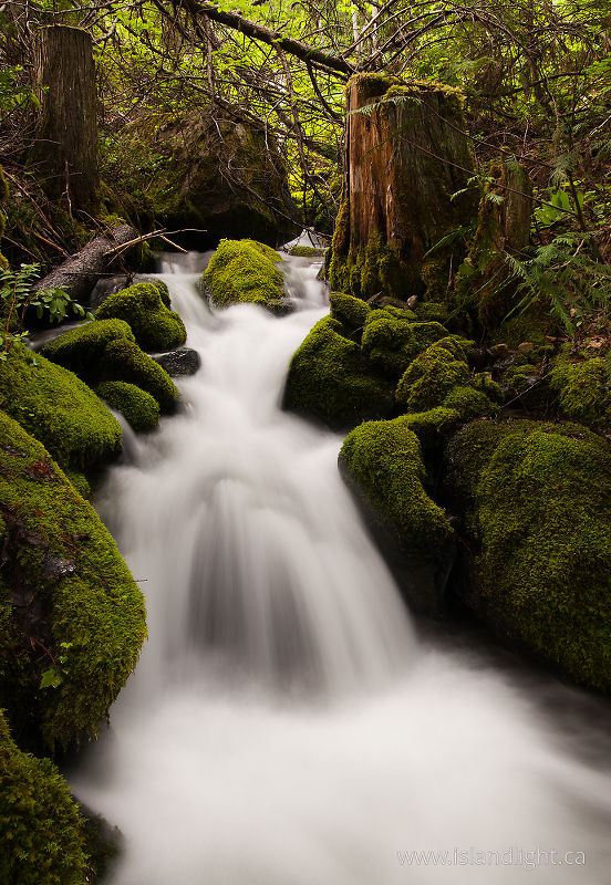   Creek photo