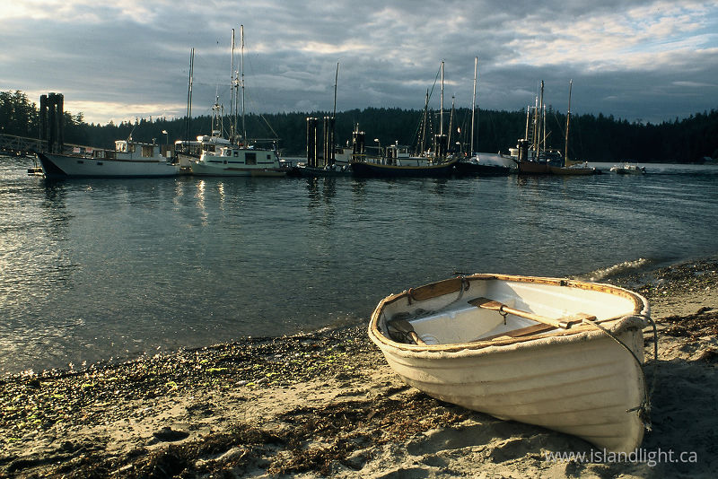   Sailing Dinghy photo