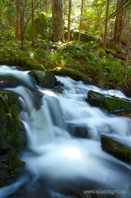   Waterfall photo