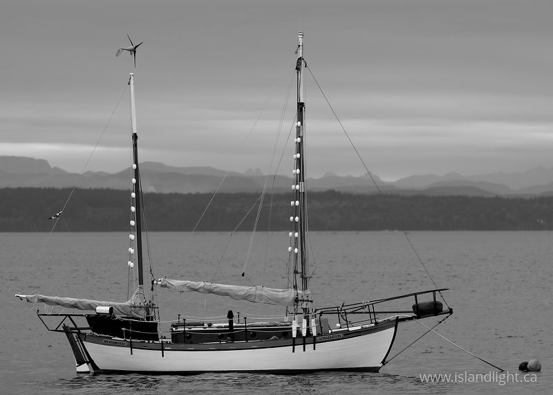   Sail boat photo