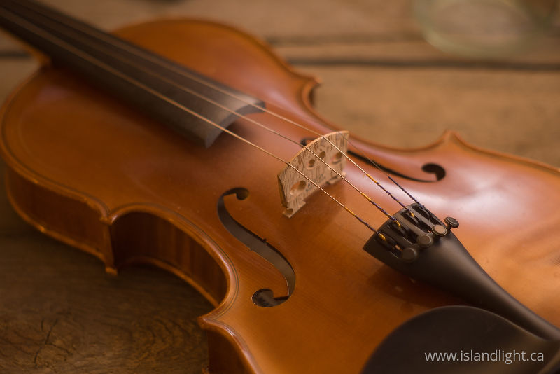 Fiddle -   photo