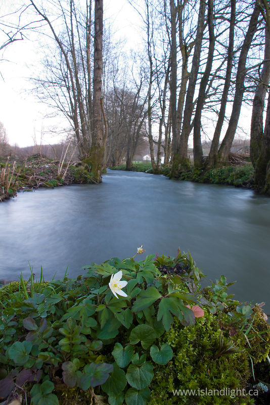   River photo