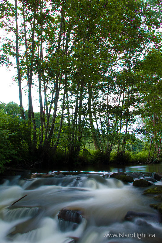   River photo
