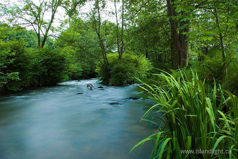   Creek photo
