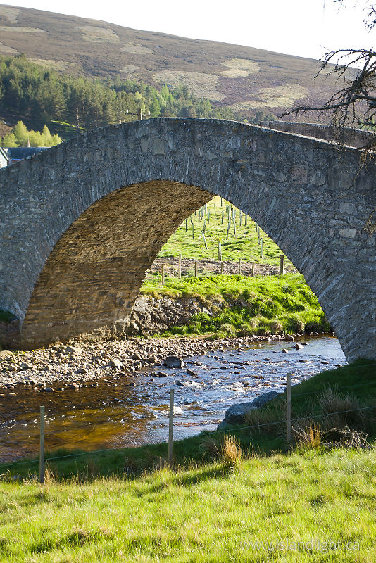   Bridge photo