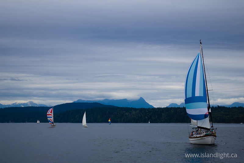  sailing photo