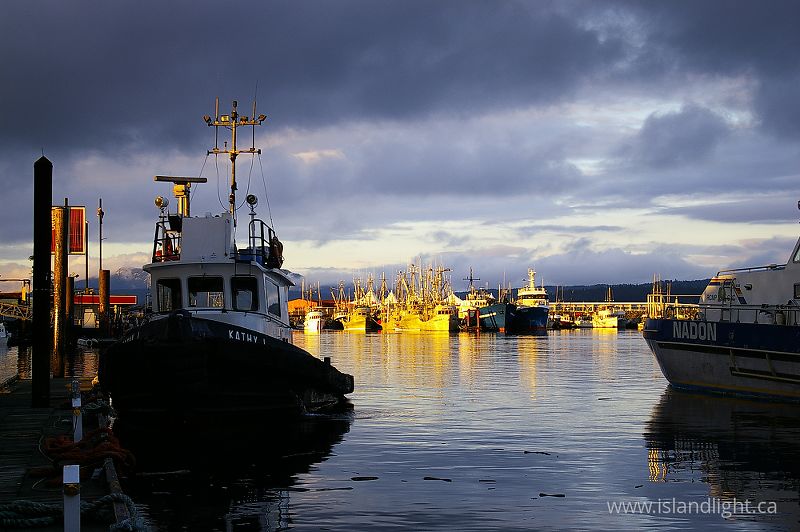   Tugboat photo