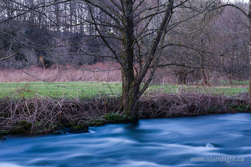   River photo