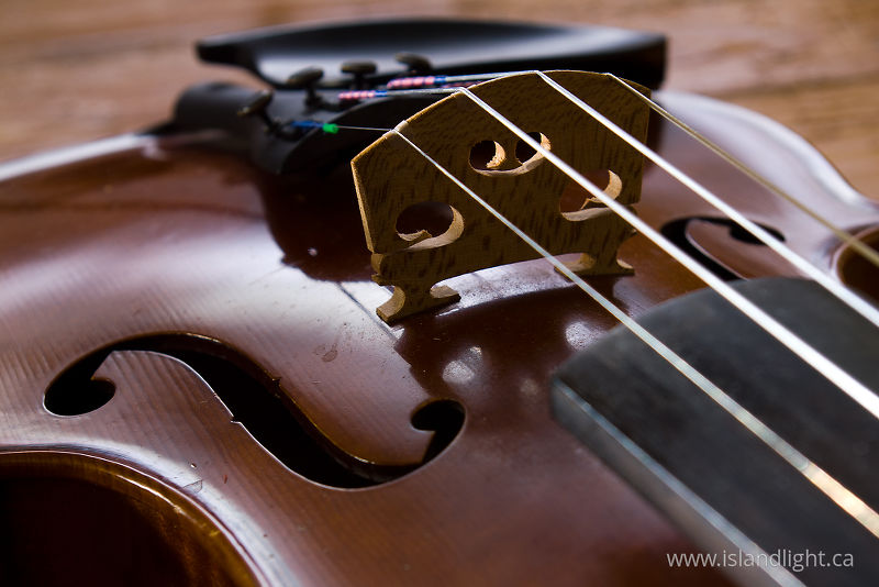   Fiddle photo