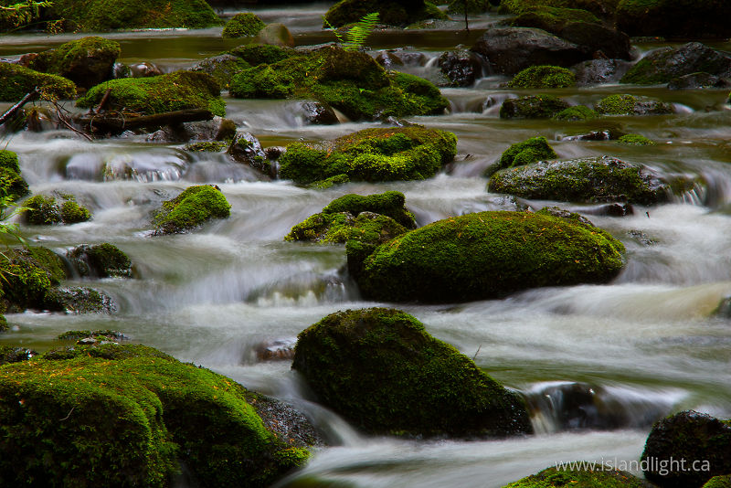   River photo