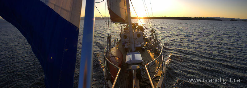   Sailing photo