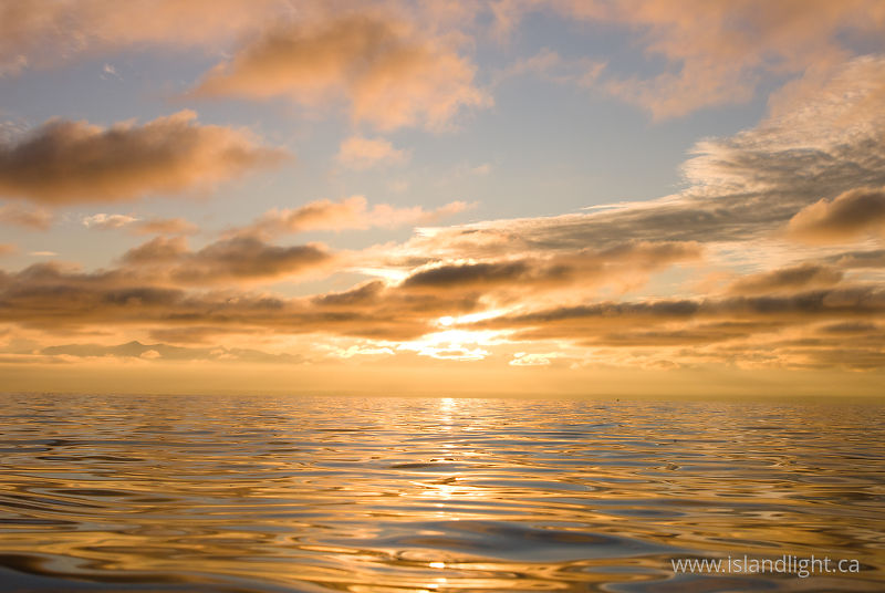   Nature photo