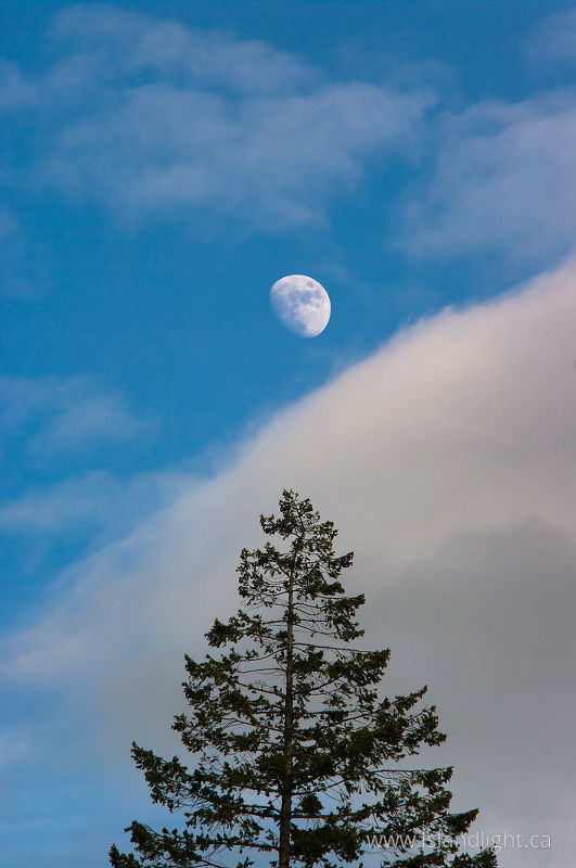   Moon photo
