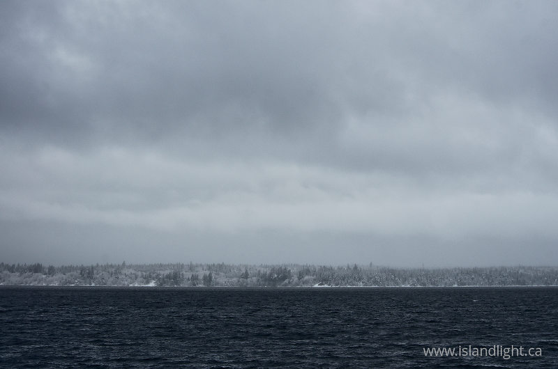   Winter photo