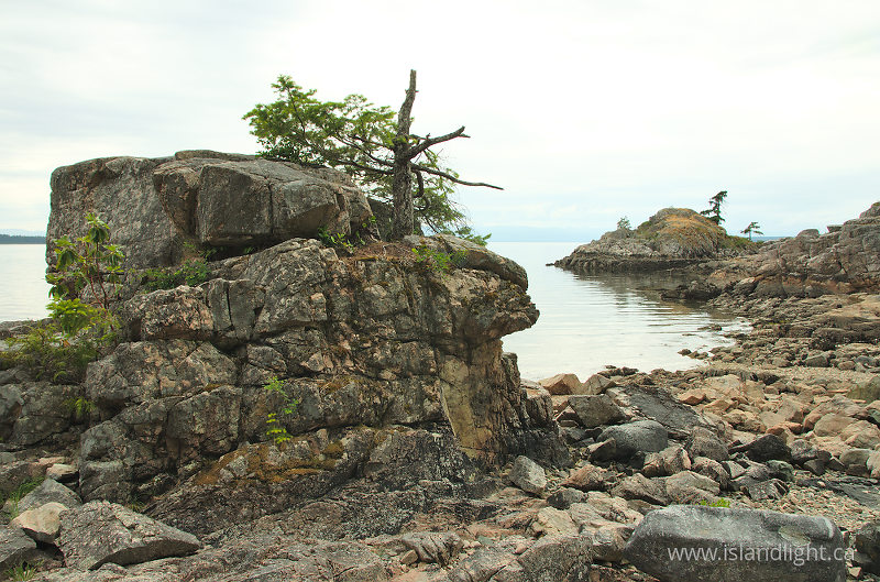   Seashore photo
