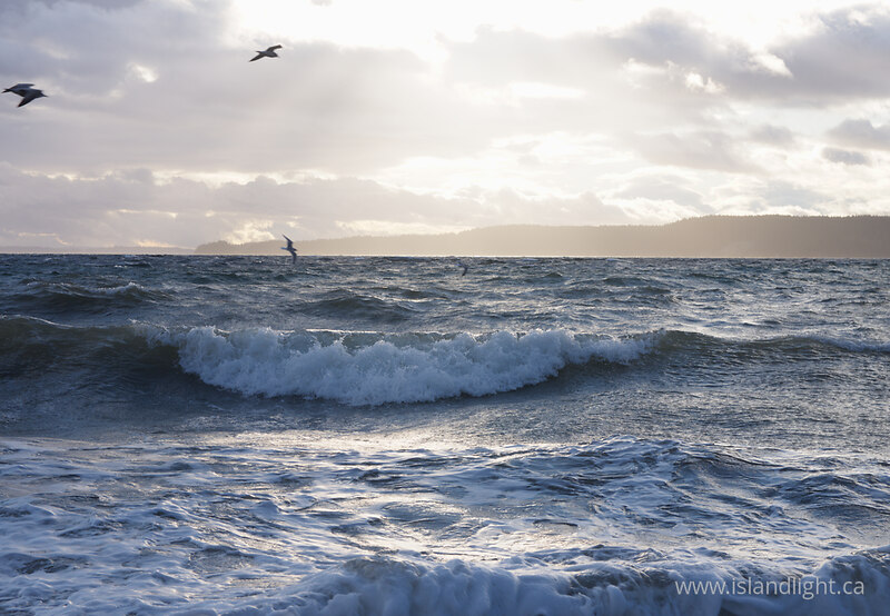   Ocean photo