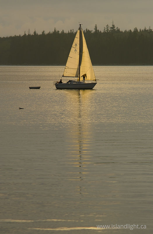   Sailing photo