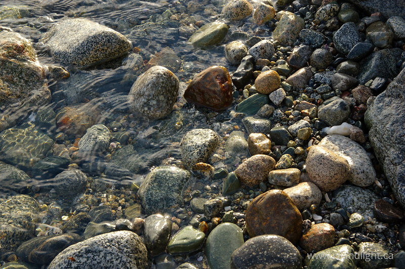   Seashore photo