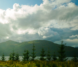 Beside the Loch -   photo