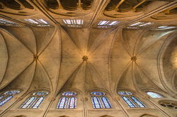 Notre dame - Paris Cathedral photo