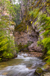 Springer Creek in Motion - Slocan Valley Creek photo