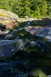  Cortes Island Creek photo