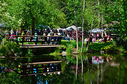 Seafest at The Gorge - Cortes Island event photo