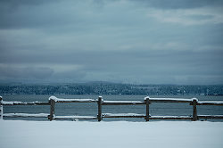 The Edge of the Back 40 - Cortes Island Fence photo